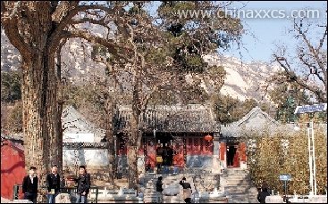 北大天才毕业生已入寺修行 正式皈依尚待考察